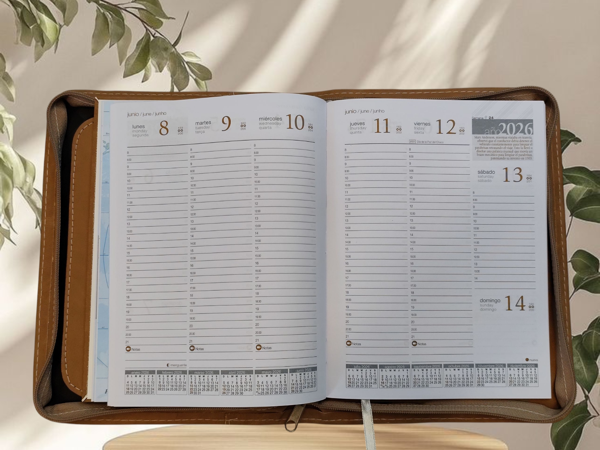 Agenda Remember 3 2026 semanal en dossier con cierre simil cuero tostado cod. 457/1411 Agenda Remember 3 2026 semanal en dossier con cierre simil cuero tostado cod. 457/1411